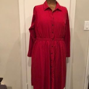 Button down A line dress w/ cinched waist